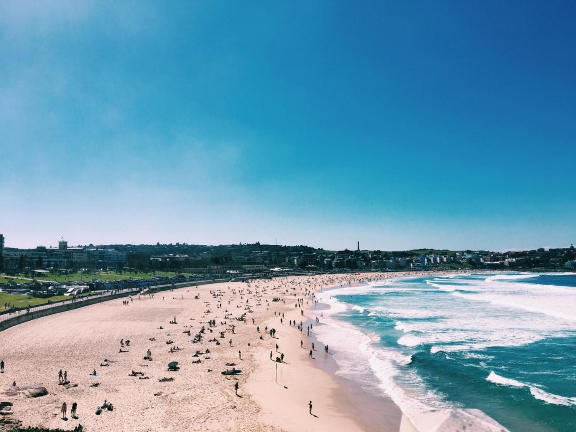 Treetop Retreat Five Minute Stroll To The Beach Sydney Eksteriør bilde